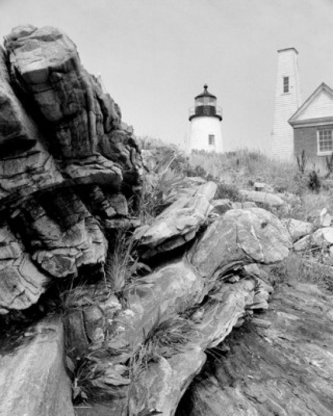 Large stump near lighthouse Canvas Art - (24 x 36)