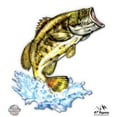 thumbnail image 1 of Largemouth Bass Jumping - 12" Vinyl Sticker Waterproof Decal, 1 of 1