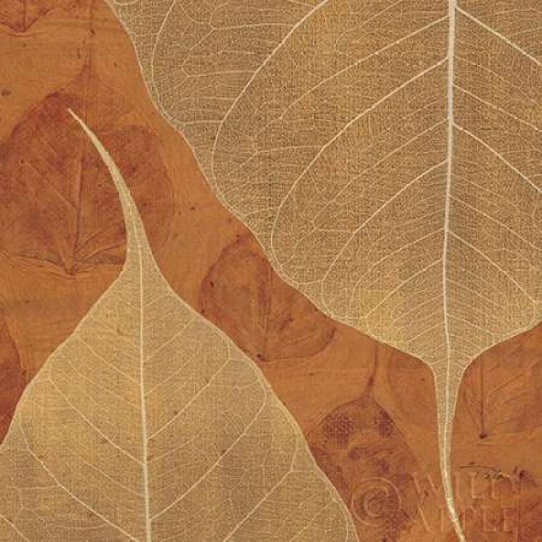 Larger than Life Spice II Canvas Art - Alain Pelletier (24 x 24)
