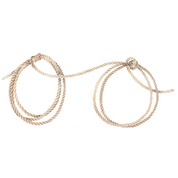 Lariat Lasso Wall Stencil - DEE656 by DeeSigns