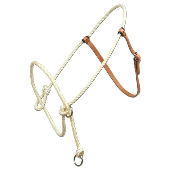 Lariat Rope Training Halter