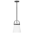 thumbnail image 1 of 83057BK Lark Tori - 1 Light Convertible Pendant In Transitional and Modern Style-13.75 Inches Tall and 9 Inches Wide-Black Finish, 1 of 16