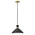 thumbnail image 1 of 83257BK-HB Lark Simon - 1 Light Pendant In Mid-Century Modern Style-10 Inches Tall and 13 Inches Wide-Black/Heritage Brass Finish, 1 of 20