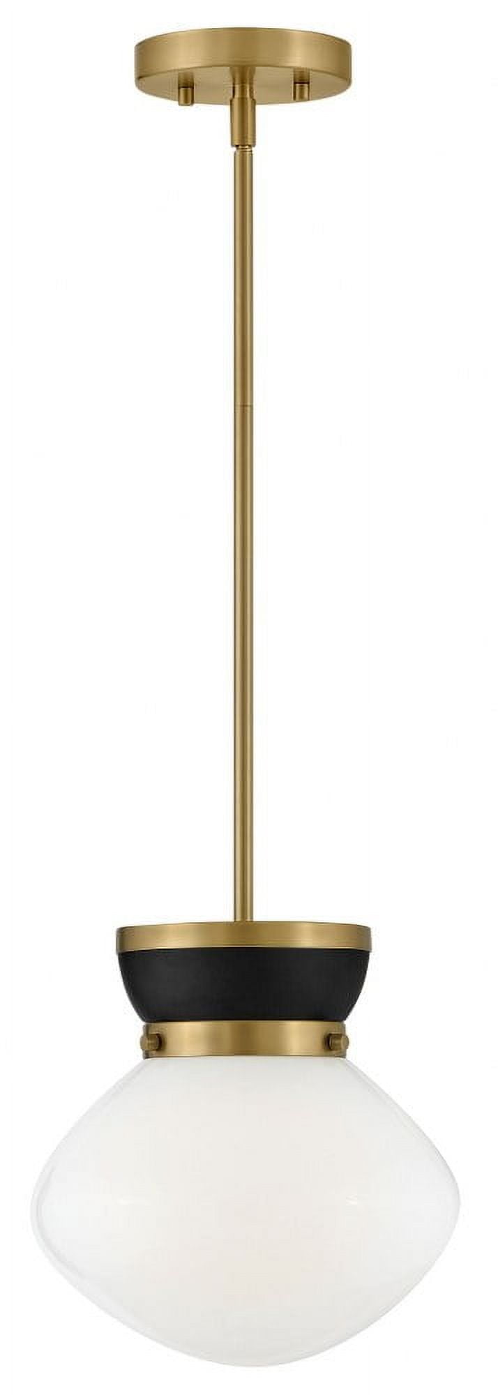 Lucy Black and Brass Glass LED Pendant Light