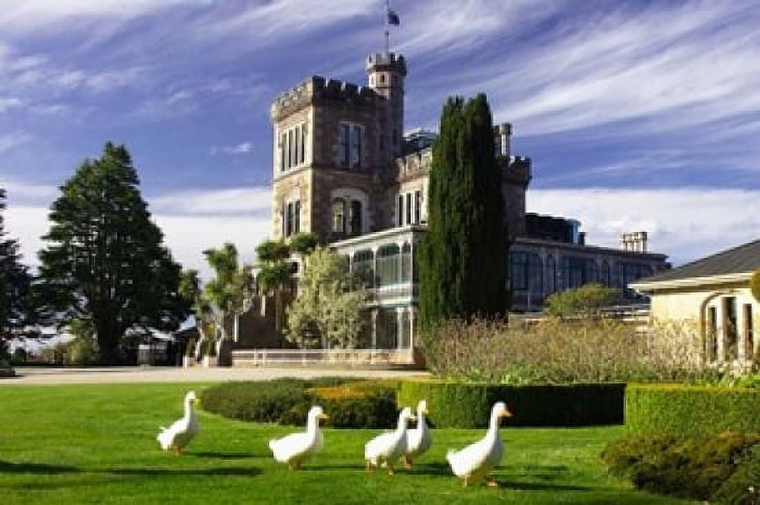 Larnach Castle Otago Peninsula Dunedin South Island New Zealand Canvas Art - David Wall DanitaDelimont (36 x 24)
