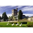 thumbnail image 1 of Larnach Castle, Otago Peninsula, Dunedin, South Island, New Zealand Poster Print by David Wall (26 x 17), 1 of 1