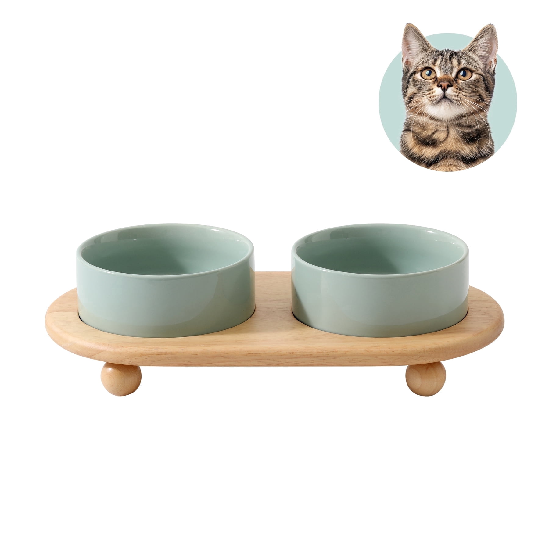 LarqeeWare Ceramic Elevated Cat Food and Water Bowl, Kitty Bowl, Raised Cat Dish, Pet Feeder (5.1 in, 2 x Light Green + Stand)