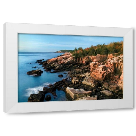 Larry Malvin 18x13 White Modern Wood Framed Wall Art Titled - Acadia Coastline