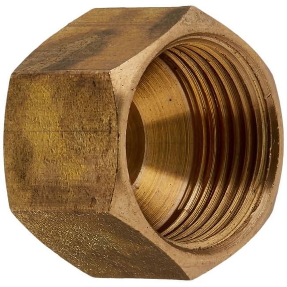 Larsen Supply 207886 0.37 in. Brass Texas Flare Cap Pack of 6
