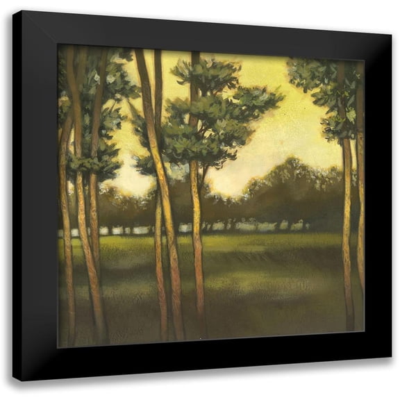 Larson 12x12 Black Modern Framed Museum Art Print Titled - Through the Trees II
