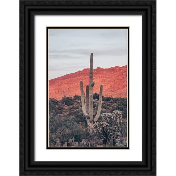 Larson, Nathan 13x18 Black Ornate Wood Framed with Double Matting Museum Art Print Titled - Sunsets and Saguaros I