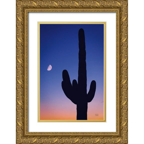 Larson, Nathan 13x18 Gold Ornate Wood Framed with Double Matting Museum Art Print Titled - Candy Rock Desert