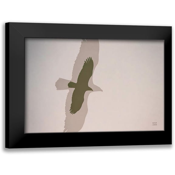 Larson, Nathan 14x11 Black Modern Framed Museum Art Print Titled - Double Eagle