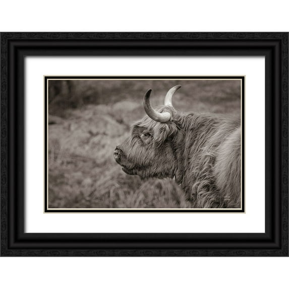 Larson, Nathan 14x11 Black Ornate Wood Framed with Double Matting Museum Art Print Titled - Highland Cow on Watch