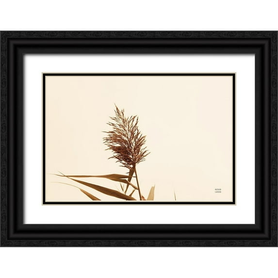 Larson, Nathan 14x11 Black Ornate Wood Framed with Double Matting Museum Art Print Titled - Summer Reeds I