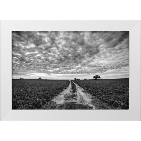 Larson, Nathan 14x11 White Modern Wood Framed Museum Art Print Titled - Farm Road