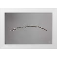 thumbnail image 1 of Larson, Nathan 14x11 White Modern Wood Framed Museum Art Print Titled - Springtime in the Air, 1 of 4