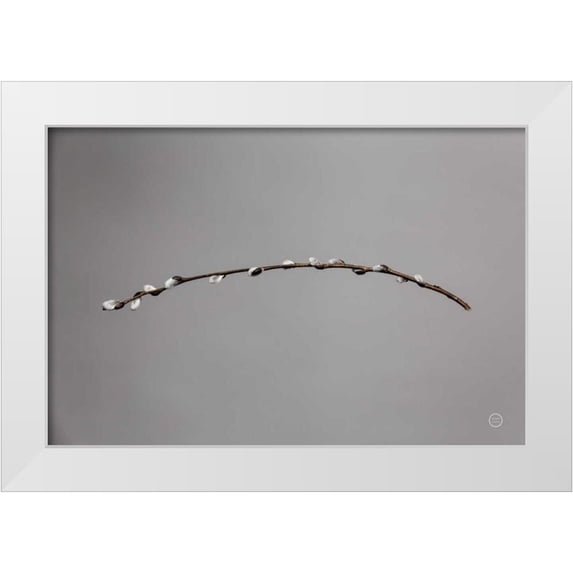 Larson, Nathan 14x11 White Modern Wood Framed Museum Art Print Titled - Springtime in the Air