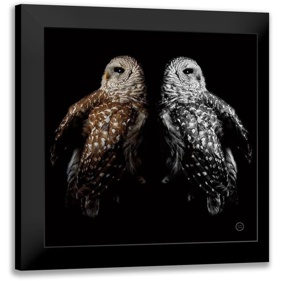 Larson, Nathan 15x15 Black Modern Framed Museum Art Print Titled - Still a Life