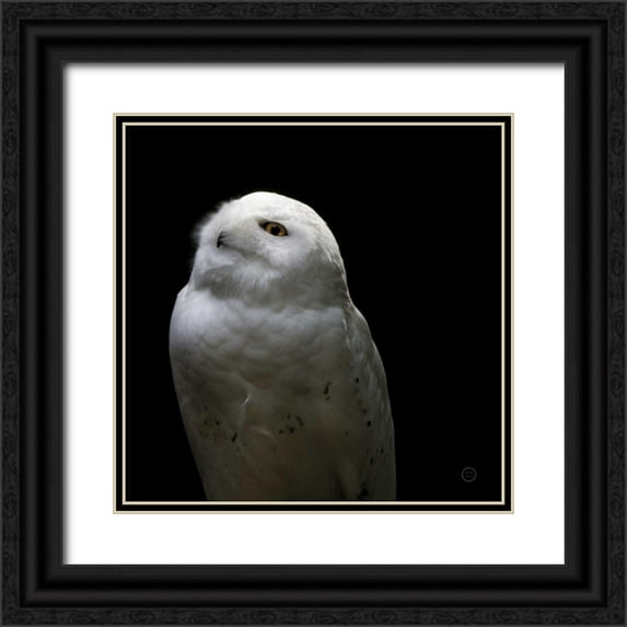 Larson, Nathan 15x15 Black Ornate Wood Framed with Double Matting Museum Art Print Titled - Snowy Owl Looks to the Sun