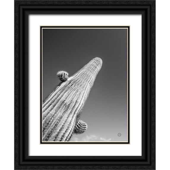 Larson, Nathan 15x18 Black Ornate Wood Framed with Double Matting Museum Art Print Titled - King I