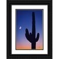 thumbnail image 1 of Larson, Nathan 17x24 Black Ornate Wood Framed with Double Matting Museum Art Print Titled - Candy Rock Desert, 1 of 4