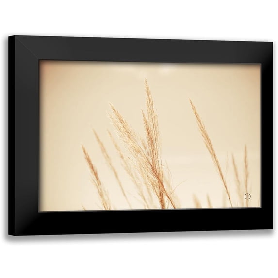 Larson, Nathan 18x13 Black Modern Framed Museum Art Print Titled - Summer Fields