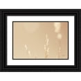 thumbnail image 1 of Larson, Nathan 18x13 Black Ornate Wood Framed with Double Matting Museum Art Print Titled - Lakeside Grasses I, 1 of 4