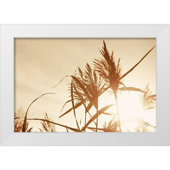 Larson, Nathan 18x13 White Modern Wood Framed Museum Art Print Titled - Noon Grasses IV