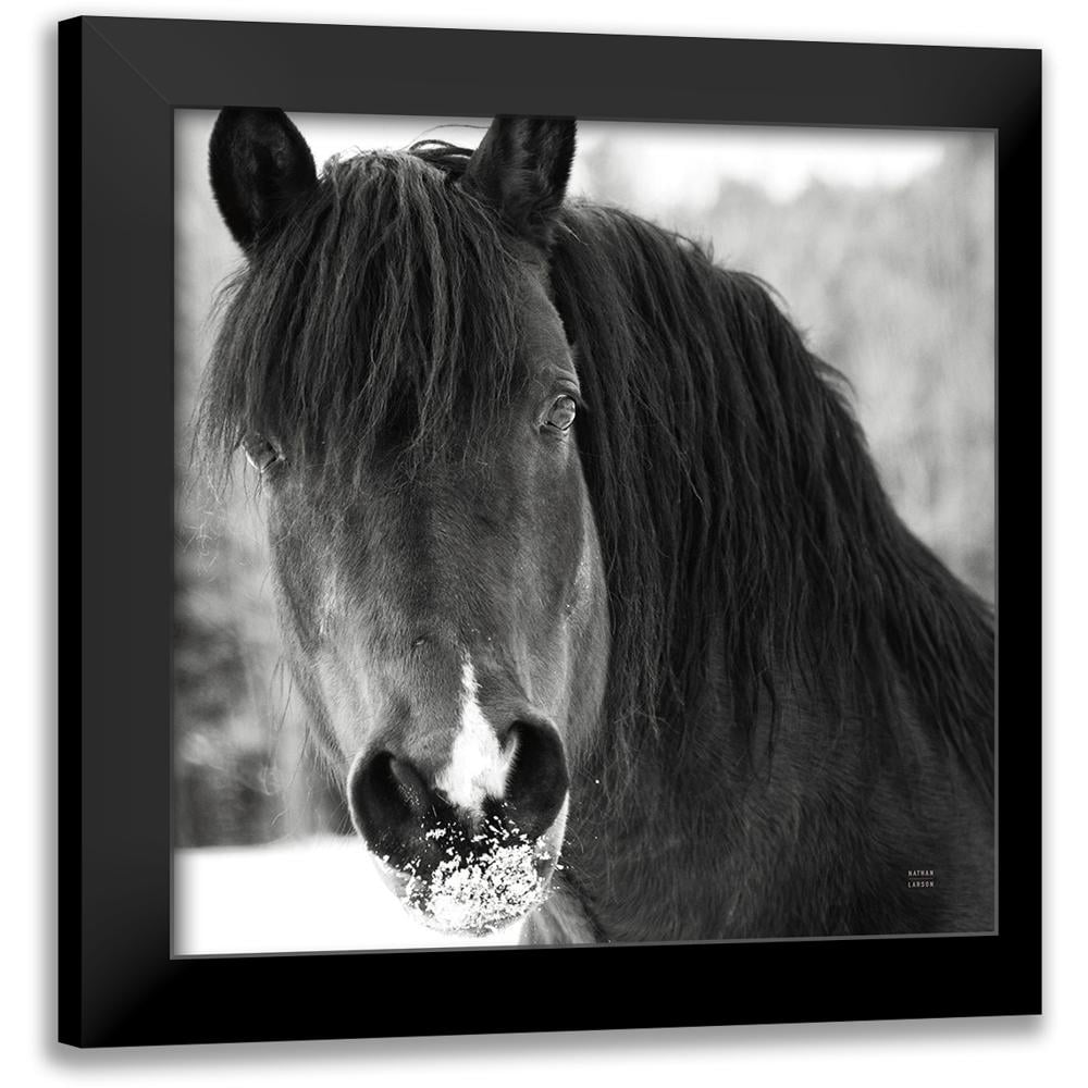 Winter Horse II Framed Art Print with Black Satin Frame