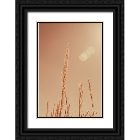 Larson, Nathan 23x32 Black Ornate Wood Framed with Double Matting Museum Art Print Titled - Noon Grasses I