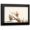 thumbnail image 1 of Larson, Nathan 24x17 Black Modern Framed Museum Art Print Titled - Country Grasses I, 1 of 5