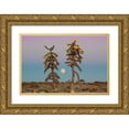 thumbnail image 1 of Larson, Nathan 24x17 Gold Ornate Wood Framed with Double Matting Museum Art Print Titled - Desert Moonrise, 1 of 4