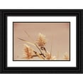 thumbnail image 1 of Larson, Nathan 32x23 Black Ornate Wood Framed with Double Matting Museum Art Print Titled - Noon Grasses III, 1 of 4
