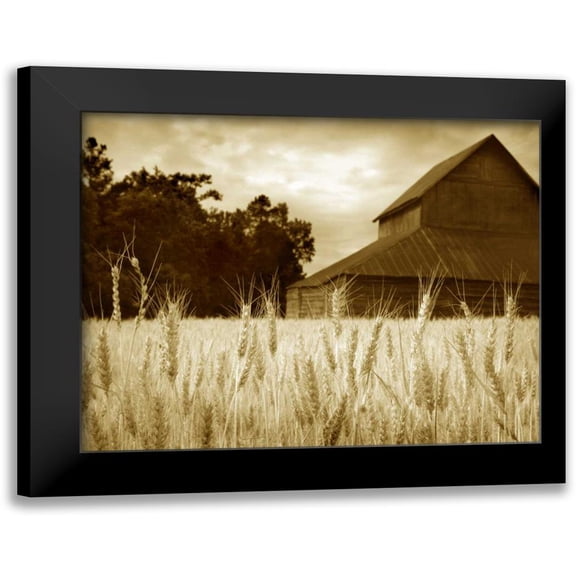Larson, Scott 14x12 Black Modern Framed Museum Art Print Titled - Harvest Time III