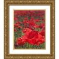thumbnail image 1 of Larson, Scott 15x18 Gold Ornate Wood Framed with Double Matting Museum Art Print Titled - Poppy Field I, 1 of 4