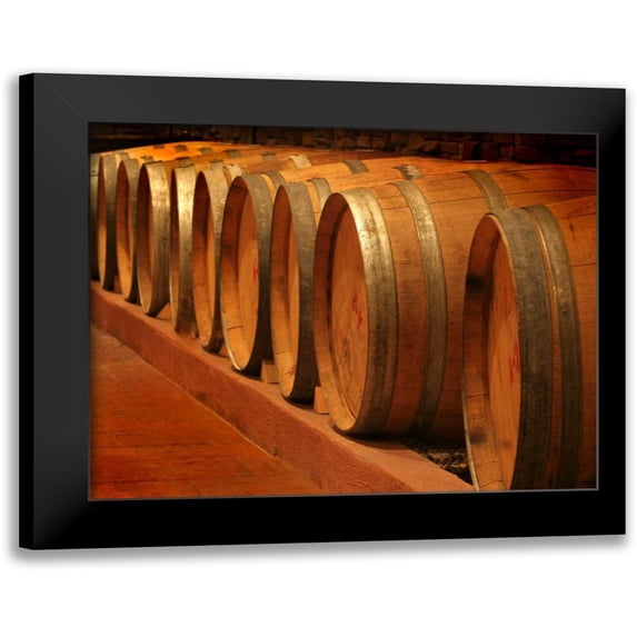 Larson, Scott 18x15 Black Modern Framed Museum Art Print Titled - Winery III
