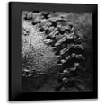 thumbnail image 1 of Larson, Scott 20x24 Black Modern Framed Museum Art Print Titled - Summer Ball I, 1 of 5