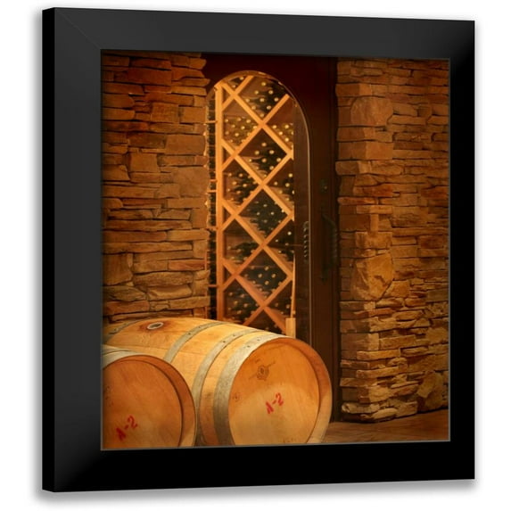 Larson, Scott 20x24 Black Modern Framed Museum Art Print Titled - Wine Cellar III