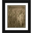 thumbnail image 1 of Larson, Scott 20x24 Black Ornate Wood Framed with Double Matting Museum Art Print Titled - Turning Grain IV, 1 of 4
