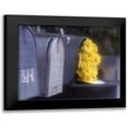 thumbnail image 1 of Larson, Scott 24x20 Black Modern Framed Museum Art Print Titled - Special Delivery III, 1 of 5