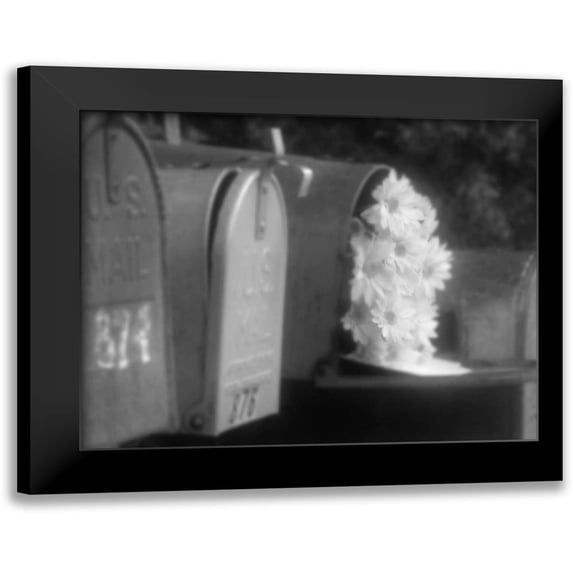 Larson, Scott 24x20 Black Modern Framed Museum Art Print Titled - Special Delivery I