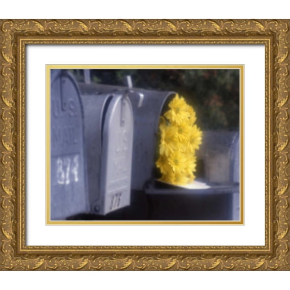 Larson, Scott 24x20 Gold Ornate Wood Framed with Double Matting Museum Art Print Titled - Special Delivery III
