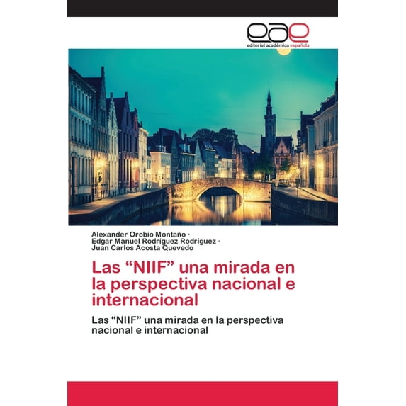 Las "NIIF" una mirada en la perspectiva nacional e internacional (Paperback)