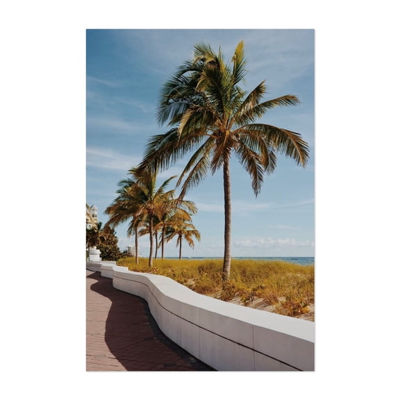 Las Olas Boulevard - Fort Lauderdale Florida Photography Palm Tree Beach Coast Tropical Seaside Ocean Summer Unframed Wall Art Print 4 x 6 inches