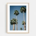 thumbnail image 1 of Las Palmas - Palm Springs California Photography Palm Tree Tropical Nature Beach Minimalist Summer Coastal Oak Framed Wall Art Print 24 x 36 inches, 1 of 59