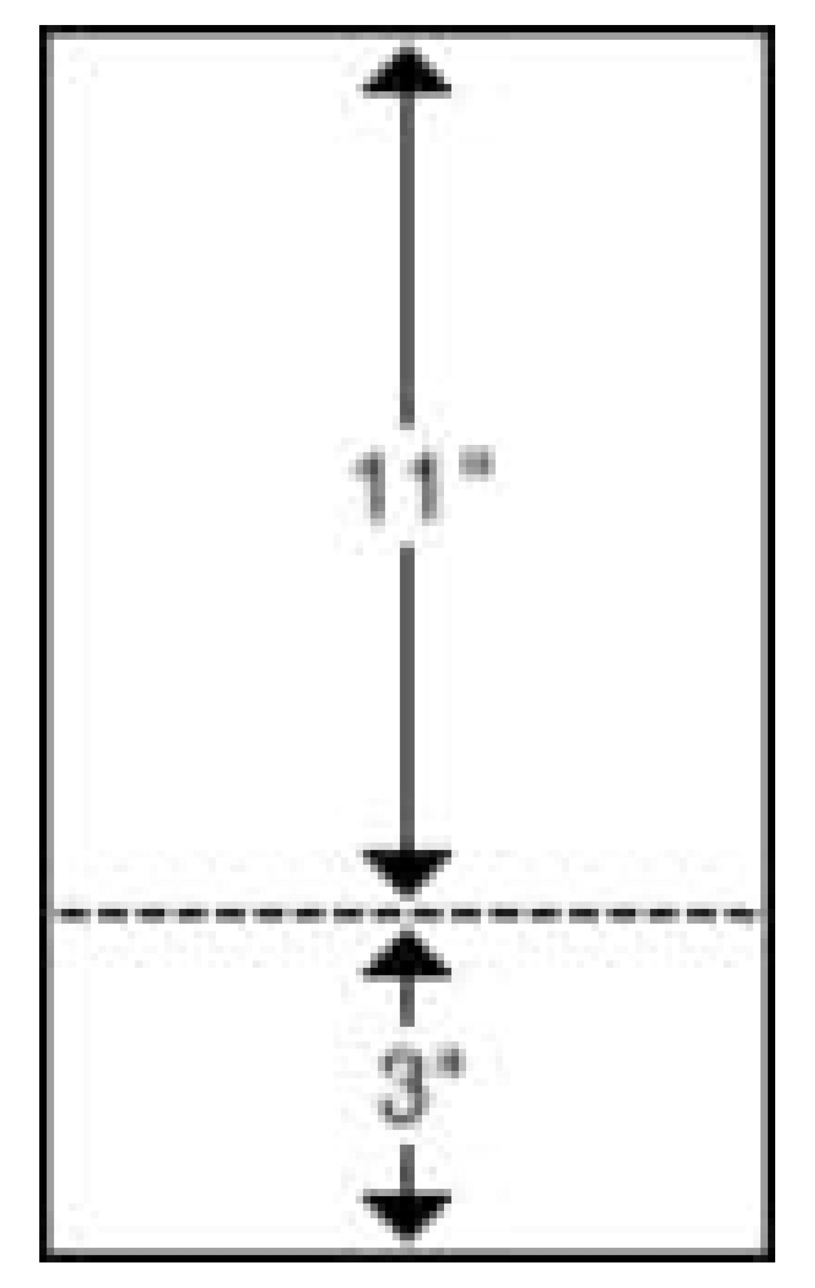 Laser Cut Sheet Form, 8 1/2 x 14 Blank Perforated Paper, 20 Paper with