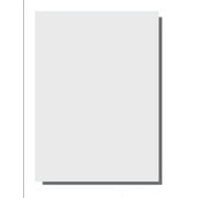 Laser Print Rx Security Paper SGP-24-R, Bond White 24lb, 11 x 17 - 2500 Shts