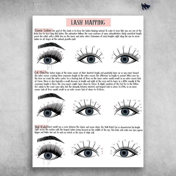 Lash Lift Poster, Lash Mapping, Classic Lashes, Cat Eye, Doll Eye 11 x 17 Inch Poster