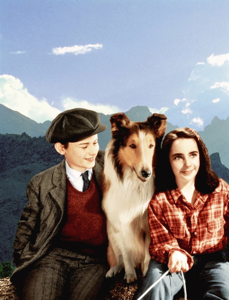Lassie Come Home Canvas Art - (16 x 20)